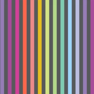 Tula Pink Graywork Disco Stripe FSPWTP231 Carbon £15.00 a metre