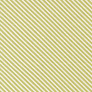 In the Garden by Corey Yoder for Moda 2923720 Pistachio Diagonal Stripe £15 a metre, £3.75 per quarter